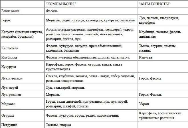 таблица совместимости растений