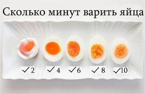 Очень красиво, оригинально! И ваш питомец будет вам благодарен!