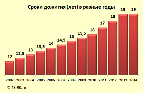 период дожития