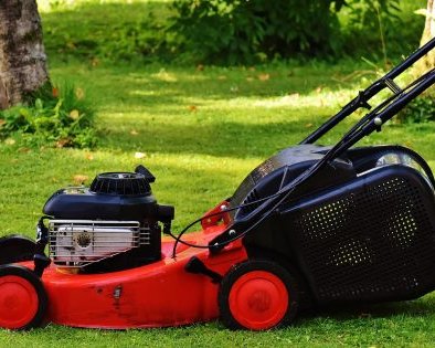 Чем косить траву на загородном участке