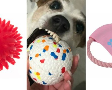 Как выбирать игрушки для собак